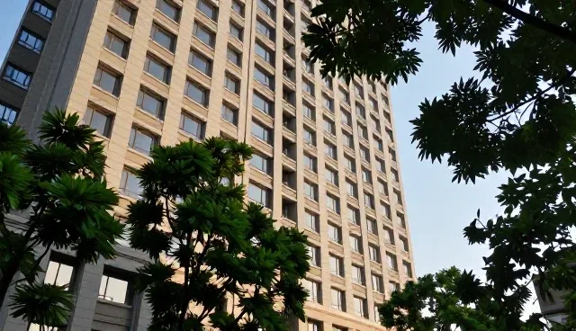 技术支持服务包：性能优化的适用条件与处理方法